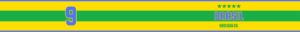 Brasil 4i M (380 x 40 mm) Brazil Number 9 T-Shirt